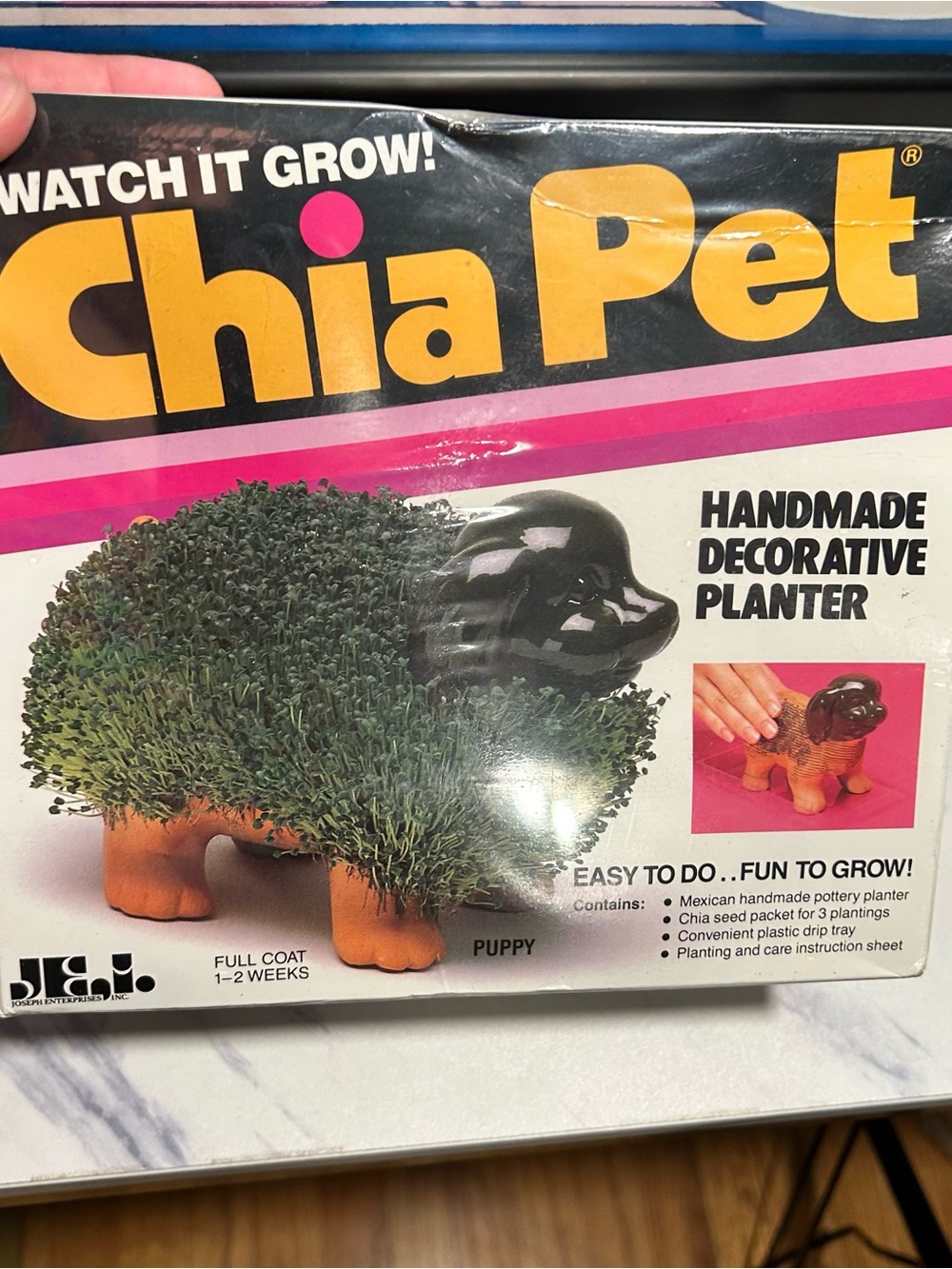 ⭐️ 5 for $25⭐️ New sealed chia pet puppy